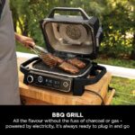 Electric Grill  - Image 3